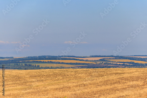 Summer landscape with agricultural fields  hills and blue sky