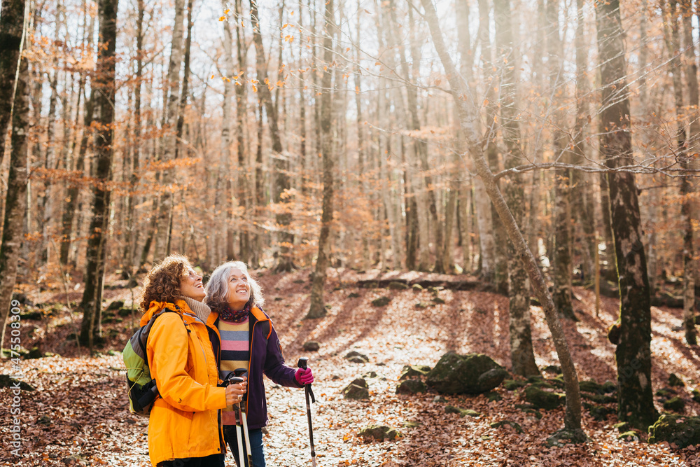 Two senior female friends hiking together through the forest in autumn Two senior female friends hiking together through the forest in autumn