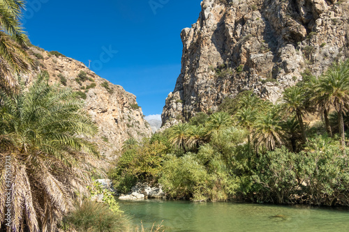 Exotic palm groves at the end of the Preveli gorge where the Megas river encounters the Libyan sea, in a secluded white sand beach, Crete, Greece © Luis