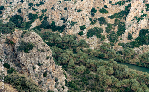 Exotic palm groves at the end of the Preveli gorge where the Megas river encounters the Libyan sea, in a secluded white sand beach, Crete, Greece photo