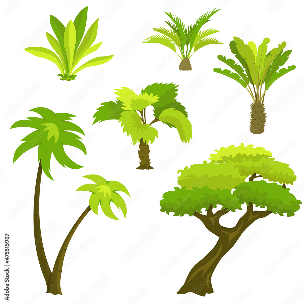 Fototapeta premium Palm trees and tropical plants vegetation icons set. Vector illustration isolated on white background.