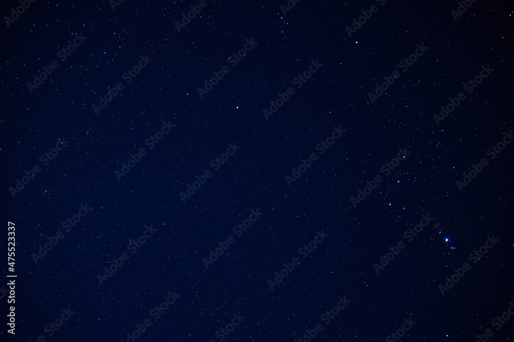 Fototapeta premium 自然