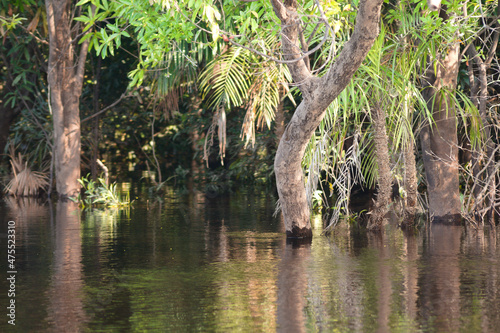 River bank flood
