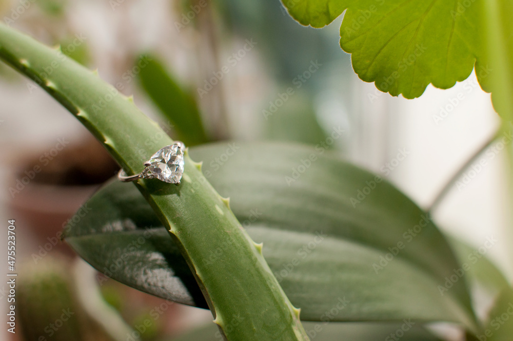 a ring with a large gemstone on an aloe leaf with a blurred background a ring with a large gemstone on an aloe leaf with a blurred background