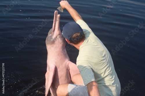 Feeding the pink doplphin