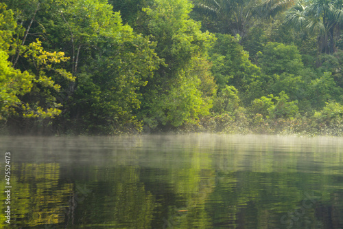 Fog on the river in the Amazon forest