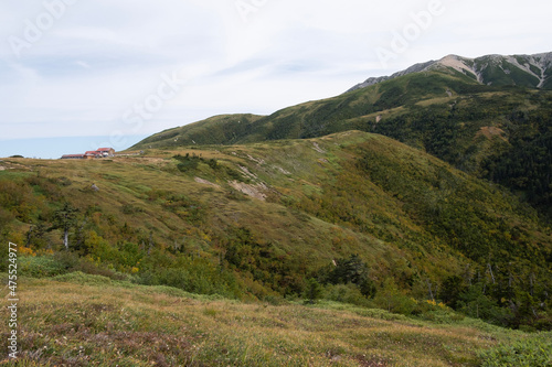 landscape in the mountains