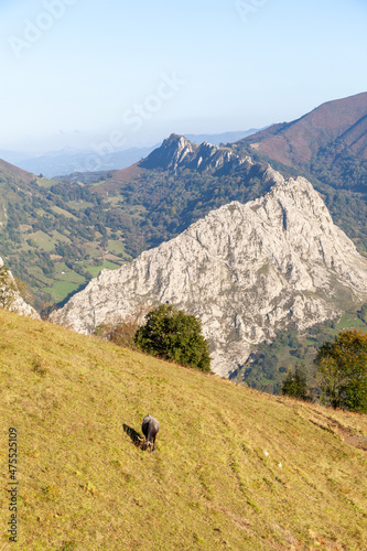 Mountains of Asturias, the council of Morcin
