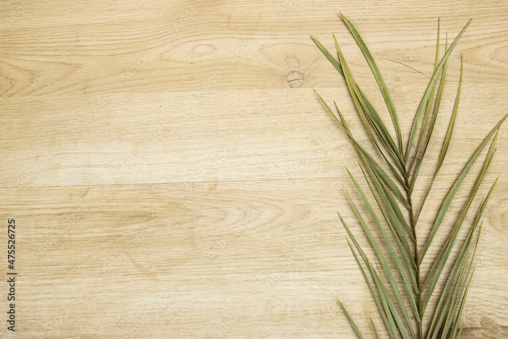 Green palm tree leaf isolated on wood table with copy space Green palm tree leaf isolated on wood table with copy space