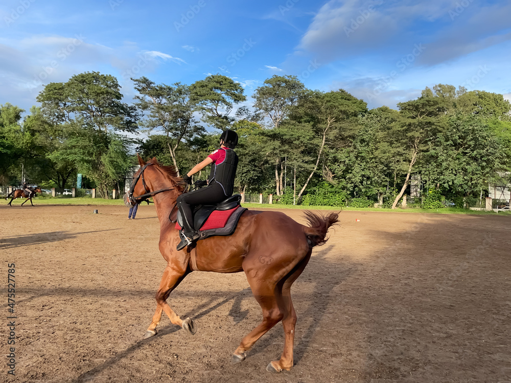 A child wearing Horse riding protective gear riding a brown horse in a ranch A child wearing Horse riding protective gear riding a brown horse in a ranch