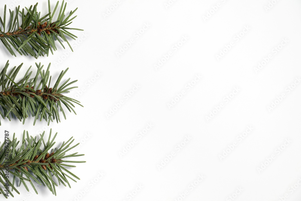 Simple Christmas Decoration Made of Green Pine Twigs Arranged in a Broder on a White Background. Modern Christmas Decoration without Text ideal for Card, Greetings, Banner. Winter Holidays Decor.
