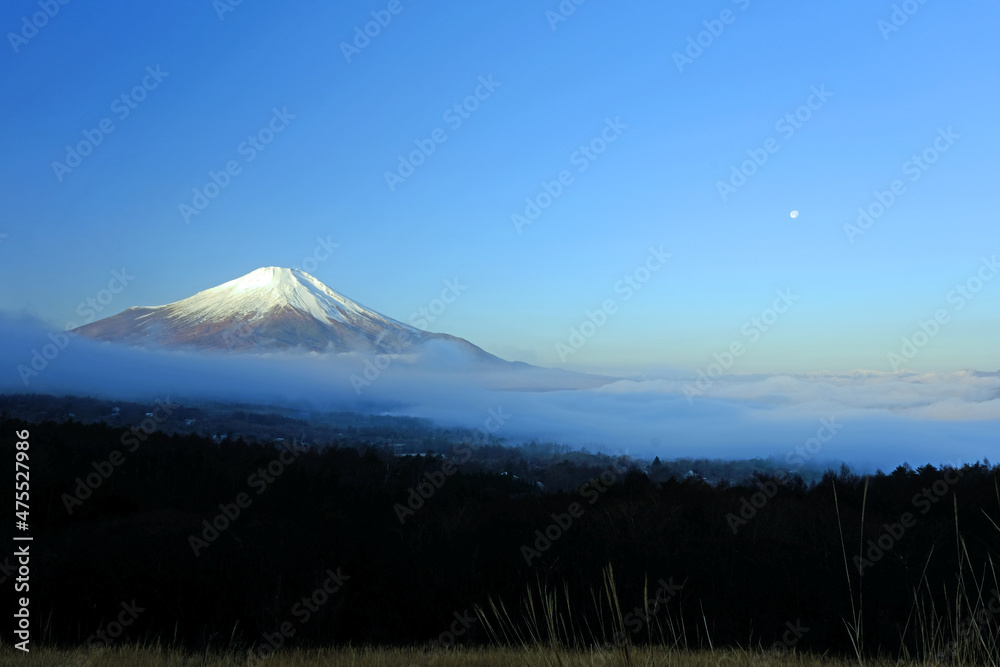 世界遺産　パノラマ台から望む富士山と山中湖に雲海が広がる風景