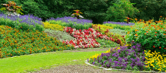 Luxurious flowerbed in the summer city garden. Wide photo.
