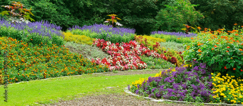 Fotografija Luxurious flowerbed in the summer city garden. Wide photo.