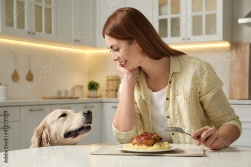 Schilderij op canvas Cute dog begging for food while owner eating at table