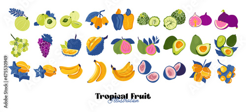 Tropical fruit and graphic design elements collection. Ingredients color cliparts. Sketch style smoothie or juice ingredients.