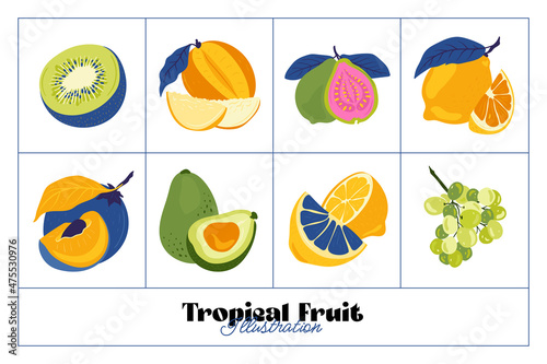 Tropical fruit and graphic design elements collection. Ingredients color cliparts. Sketch style smoothie or juice ingredients.