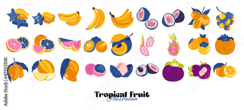 Wallpaper Mural Tropical fruit and graphic design elements collection. Ingredients color cliparts. Sketch style smoothie or juice ingredients. Torontodigital.ca