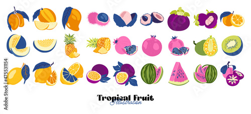 Tropical fruit and graphic design elements collection. Ingredients color cliparts. Sketch style smoothie or juice ingredients.
