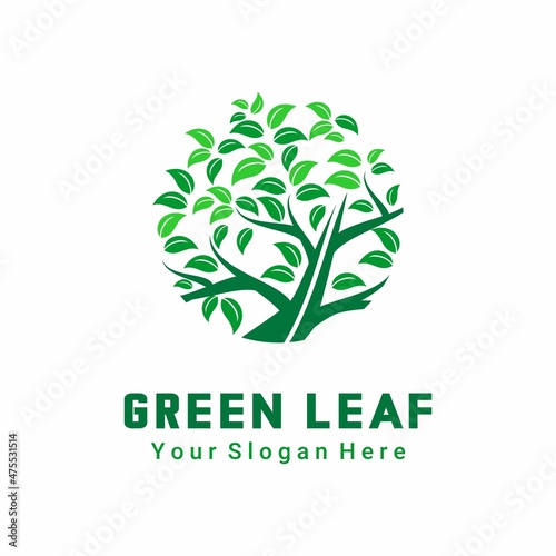 shady tree logo vector on white background