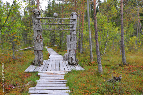 Nationalpark Hamra in Schweden im Herbst