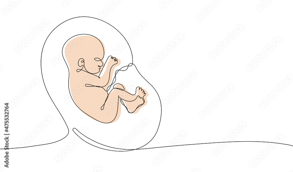 Continuous one line drawing of baby in womb. Suitable for a prenatal or reproductive clinic, pregnancy brochure, surrogacy agency. Vector illustration Continuous one line drawing of baby in womb. Suitable for a prenatal or reproductive clinic, pregnancy brochure, surrogacy agency. Vector illustration