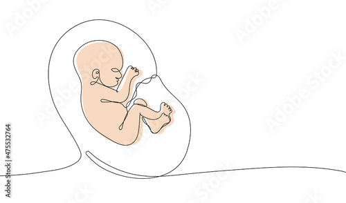 Continuous one line drawing of baby in womb. Suitable for a prenatal or reproductive clinic, pregnancy brochure, surrogacy agency. Vector illustration