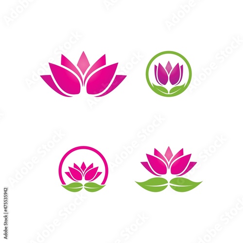 Beauty Vector lotus flowers