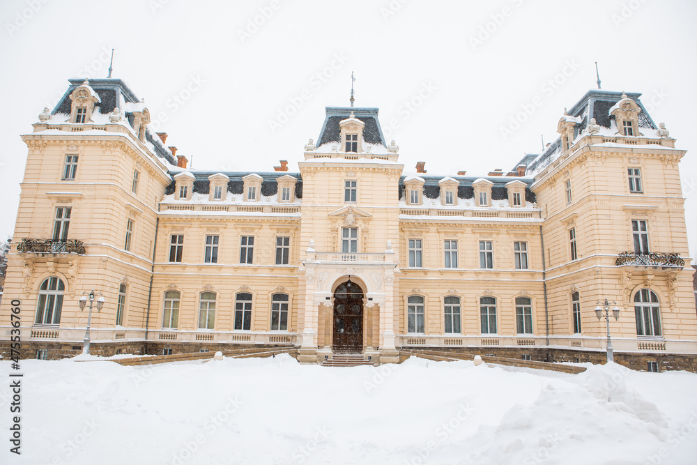 pototsky palace architecture covered with snow