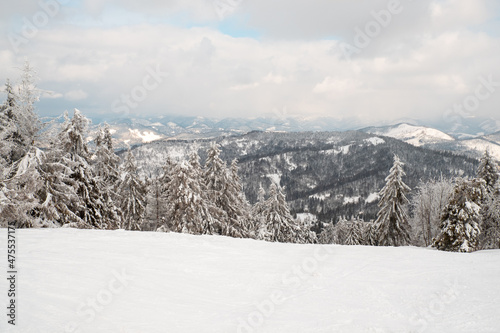 view of snowed ukrainian carpathian mountains