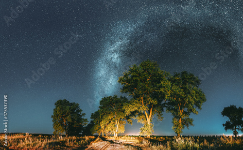 Milky Way Galaxy In Night Starry Sky Above Tree In Summer Forest. Glowing Stars Above Landscape. Panorama © Grigory Bruev