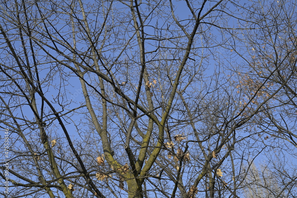 Autunno Autunno