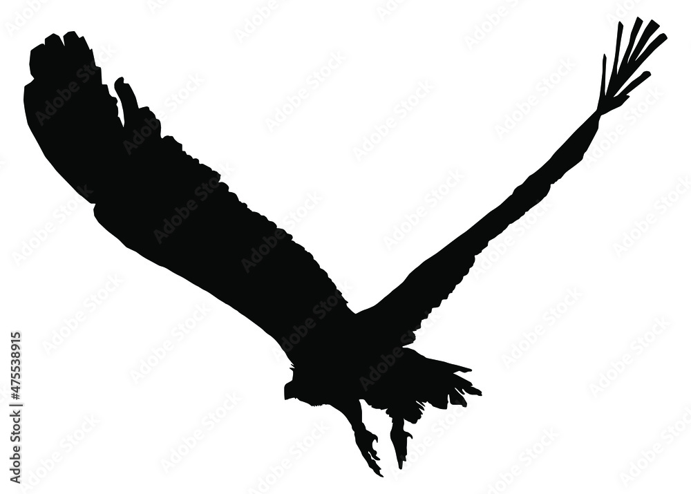 Silhouette of a vulture or eagle in flight, isolated on a white background. Vector illustration. Silhouette of a vulture or eagle in flight, isolated on a white background. Vector illustration.