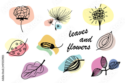 Hand Drawn vintage floral elements. Set of flowers. © AngelARTdesign