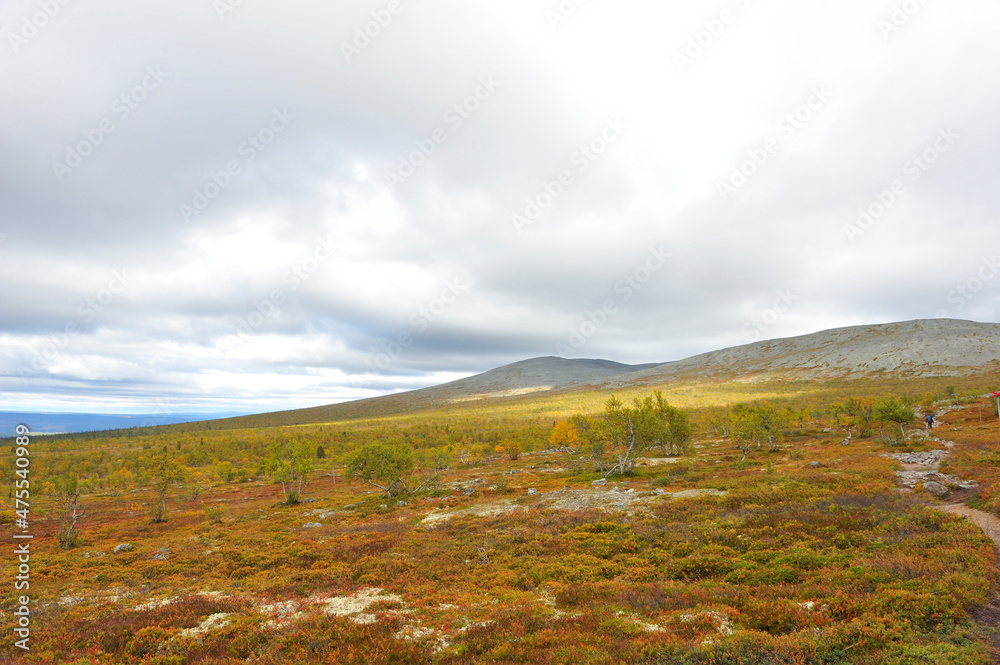 Nationalpark Sonfjället in Schweden