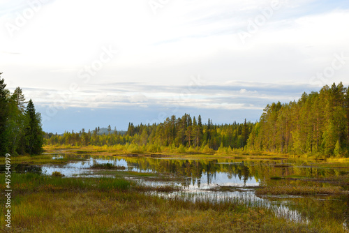 Nationalpark Sonfjället in Schweden