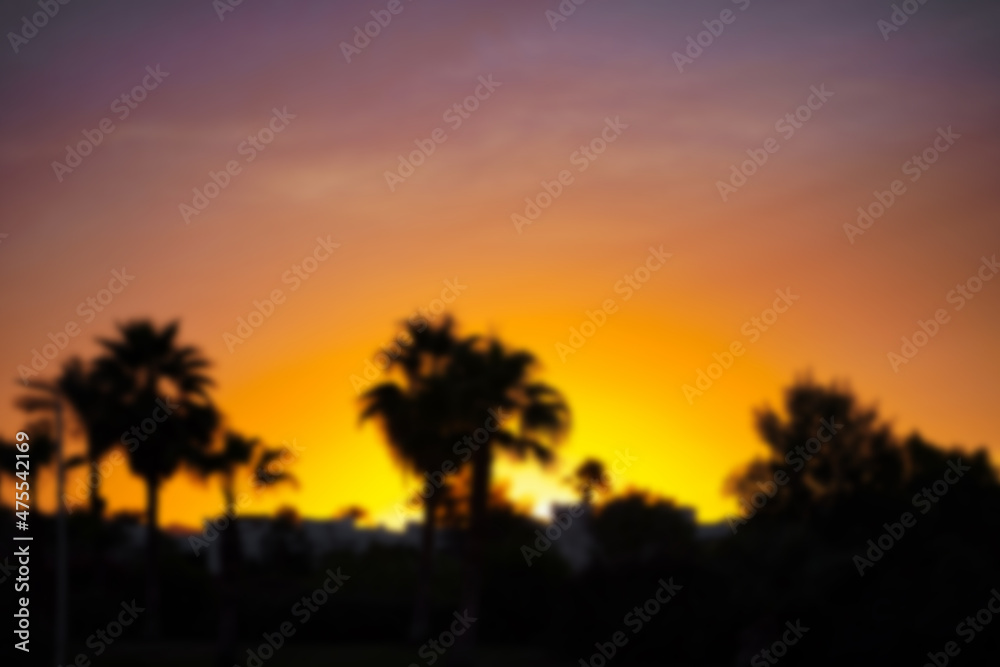 Background Blurred Silhouette of palm trees, beautiful sunset on the tropical sea beach on nature pink background for travel in holiday relax time