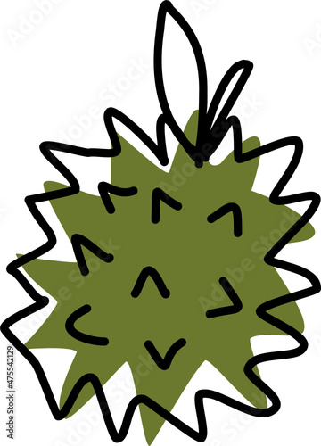 fruit hand drawn doodle