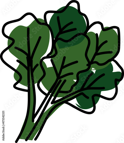 vegetable hand drawn doodle
