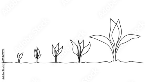 Phase of plant life continuous one line drawing minimalist illustration from seed and leaves