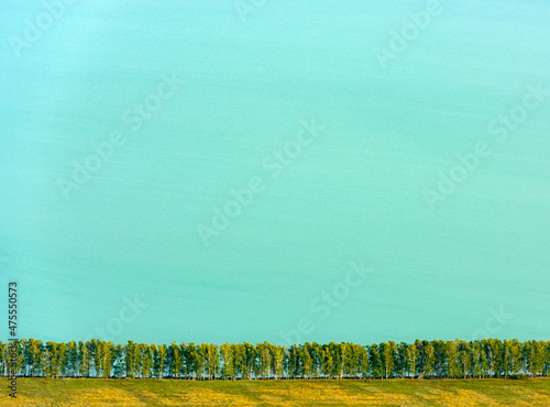 Aerial view of Lake Chany and trees on the shore in Novosibirsk, Russia photo