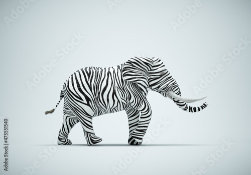 Elephant with zebra skin on studio background. Be different and mindset change concept. photo