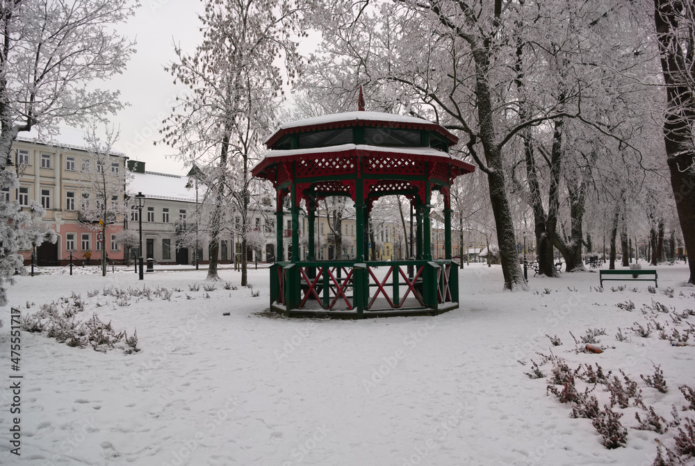 Naklejka premium winter in the park