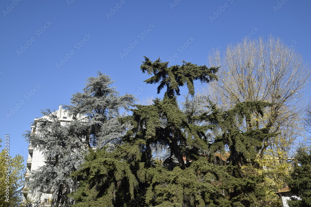 castel,sforza,milan, tower, building, sky, religion, cross, old, europe, belfry, bell, city, travel, landmark, clock, belltower, town, orthodox, bell tower, roof, history,wall,history,architecture castel,sforza,milan, tower, building, sky, religion, cross, old, europe, belfry, bell, city, travel, landmark, clock, belltower, town, orthodox, bell tower, roof, history,wall,history,architecture