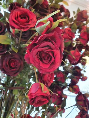 Many crimson roses were beautifully arranged. Artificial flowers made of red cloth  decorated on the plant used for home or shop decoration.Fake flowers are popular because durable and easy to care. 