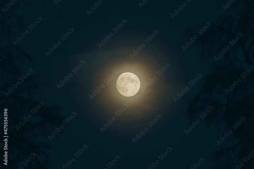 Fototapeta premium full moon with winter halo