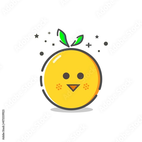 modern style icon citrus fruit flat design photo