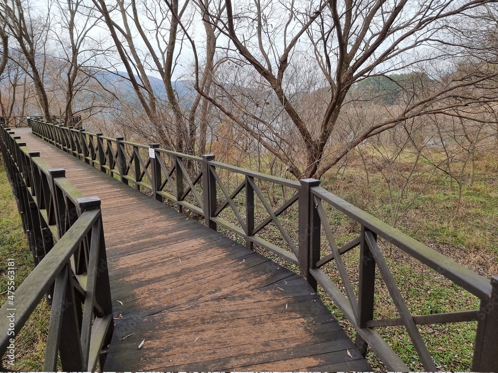 Scenery, trees, winter trees, autumn trees, nature, ponds, lakes, skies, clouds, dry trees, melancholy, quiet.