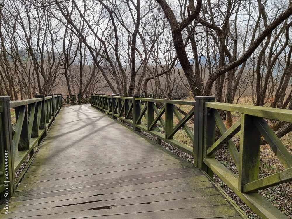 Scenery, trees, winter trees, autumn trees, nature, ponds, lakes, skies, clouds, dry trees, melancholy, quiet.