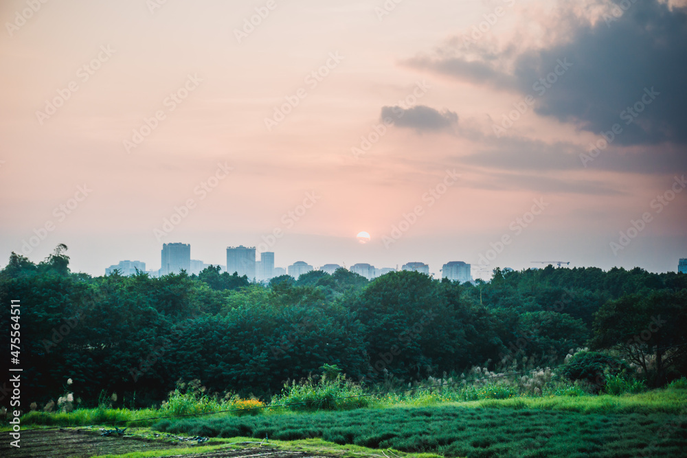Fototapeta premium Beautiful sunset in the rural countryside. Natural summer landscape